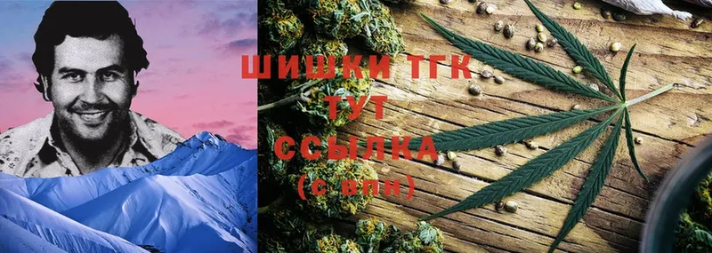 omg зеркало  Грайворон  Каннабис SATIVA & INDICA 